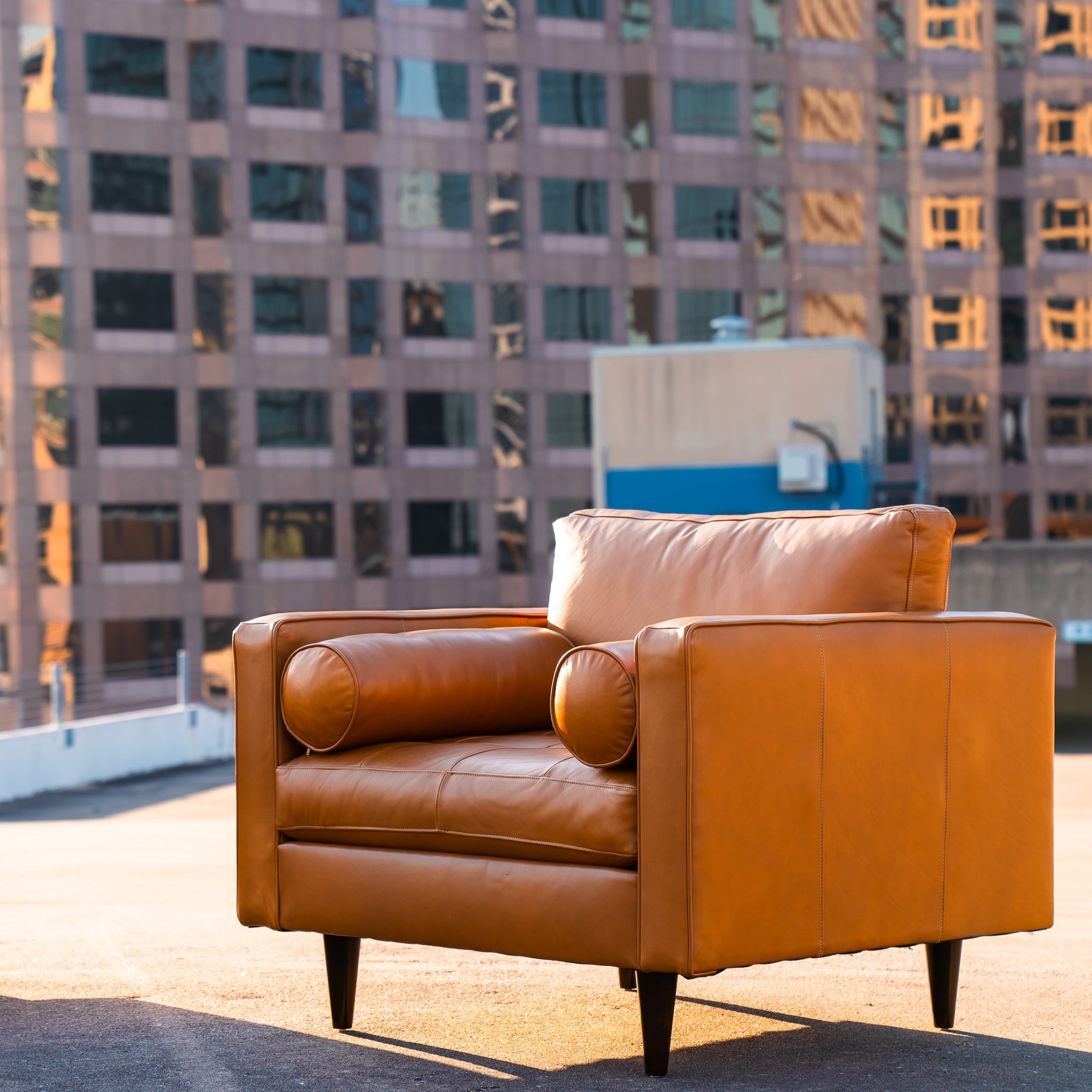 Ayden Leather Arm Chair